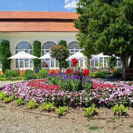 Palatul Brukenthal 3* Felek