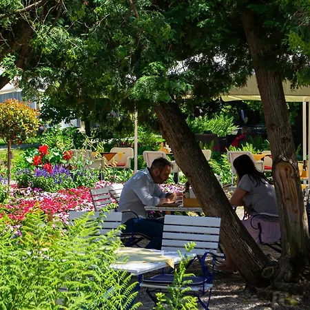 Palatul Brukenthal Felek